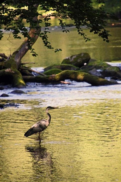 89 Lower Lakeside - Glan Gwna Holiday Park Caernarfon Eksteriør bilde