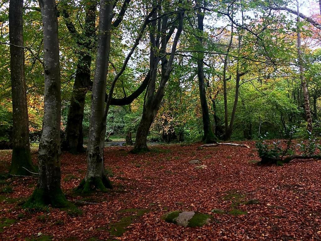 89 Lower Lakeside - Glan Gwna Holiday Park Caernarfon Eksteriør bilde